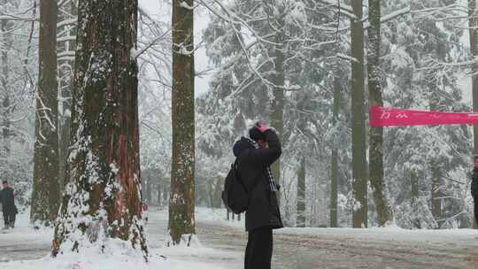 雪中树林行人抬手场景