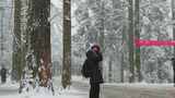 雪中树林行人抬手场景高清在线视频素材下载