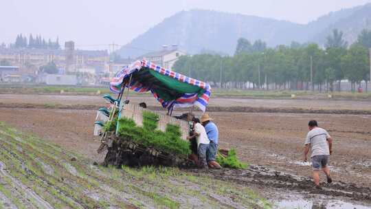 实拍8k农民机械化种植水稻