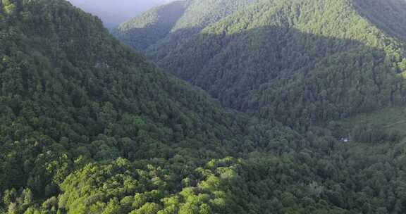 山林航拍俯瞰视角下的茂密森林景观