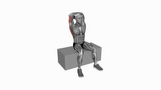 人体背部和肩部伸展扩身锻炼3D演示动画