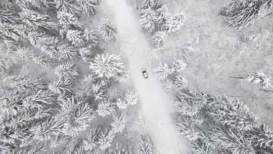 积雪道路上汽车的鸟瞰图