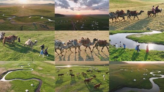 【10条合集】蒙古族民俗文化-158高清在线视频素材下载