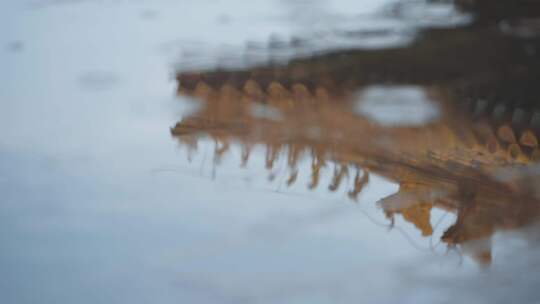 倒影在水中的故宫建筑和雨滴升格慢镜头视频素材模板下载
