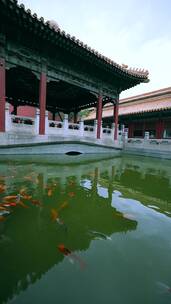 中国北京故宫博物院御花园的金鱼池