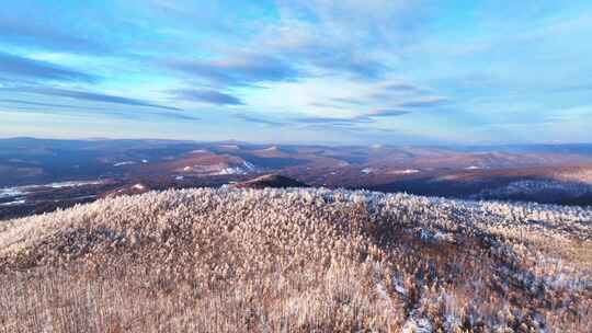 夕阳下的大兴安岭林海雪原