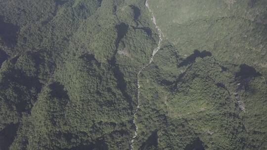 森林云海风光高山