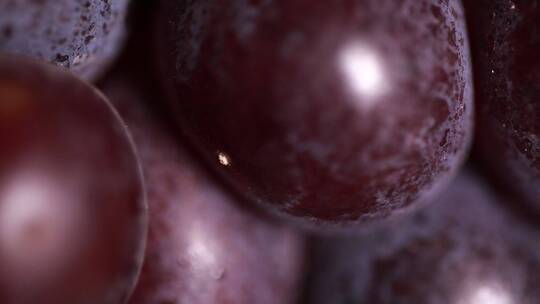 观察葡萄果实表面寄生虫