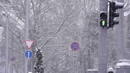 交通灯和雪