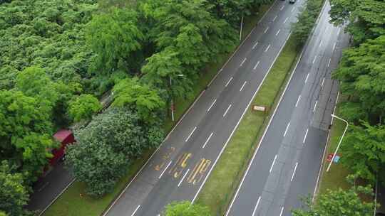 广东东莞：道路上车辆来来往往