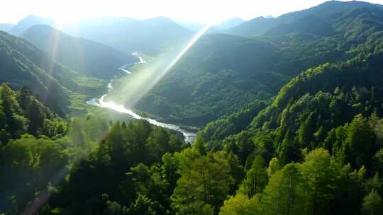 山川河流航拍 万物生长 大好河山