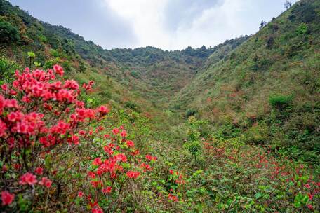 大山延时日出银河森林等