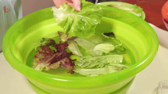 罗马生菜水盆清洗绿叶菜蔬菜沙拉生菜