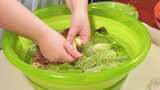 罗马生菜水盆清洗绿叶菜蔬菜沙拉生菜高清在线视频素材下载