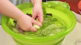 罗马生菜水盆清洗绿叶菜蔬菜沙拉生菜高清在线视频素材下载