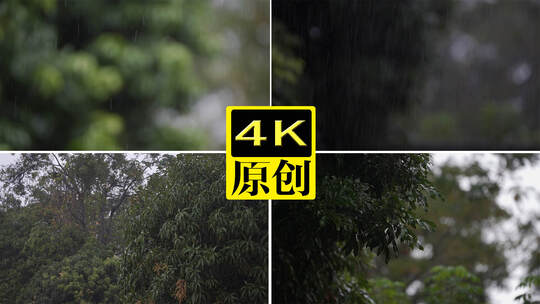 阴暗天气下雨天