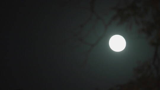 月亮意境 中秋圆月