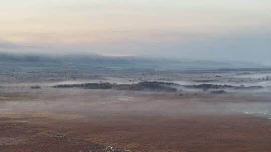 雾霭笼罩的广袤原野风光