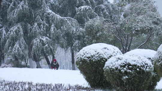 武汉江汉区菱角湖公园雪景