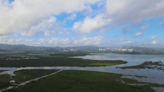 福田红树林航拍