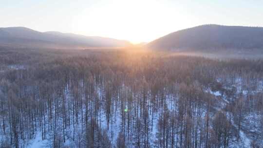 曙光照耀冻雾迷漫的林海雪原