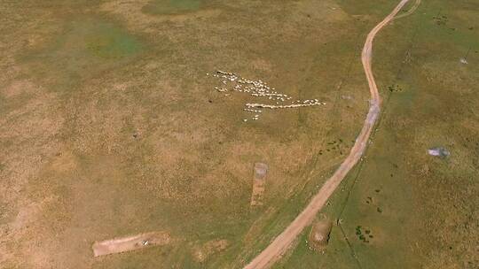 乌兰哈达火山群地址公园无人机航拍羊群视频素材模板下载