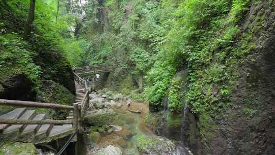 成都青城山后山峡谷森林步道溪流自然景观