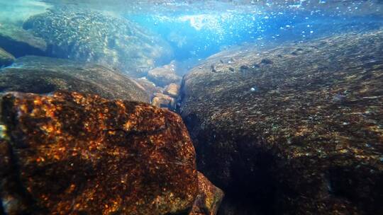 小溪水下镜头清澈见底溪流高清4K纯净水