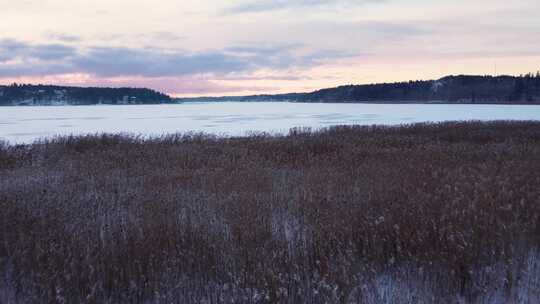 冬日湖边芦苇与冰雪景观