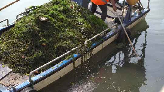 河流湖泊清理垃圾和藻类【商用需购买】视频素材模板下载