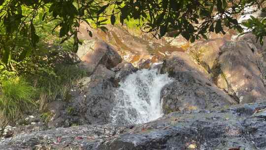 瀑布森林流水大自然小溪水山涧水源泉水山水