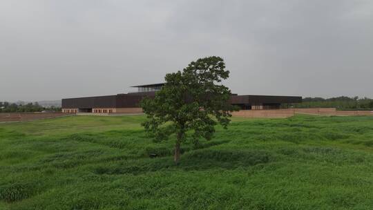 洛阳二里头夏都博物馆航拍芦苇荡建筑美学