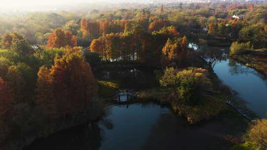 杭州西溪湿地光影秋色航拍