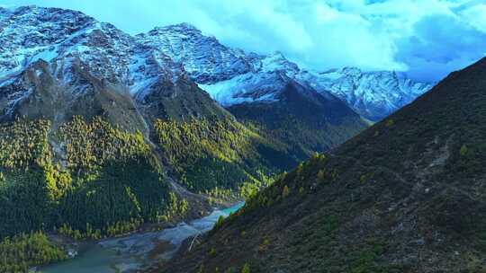 雪山下多彩树林的壮丽景观