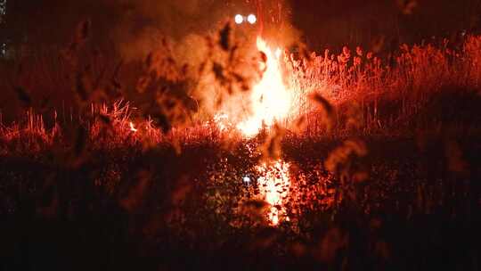 火灾大火山火现场视频素材模板下载