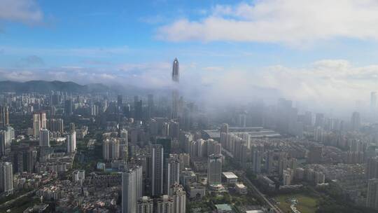 深圳 深圳城市 城市建筑群