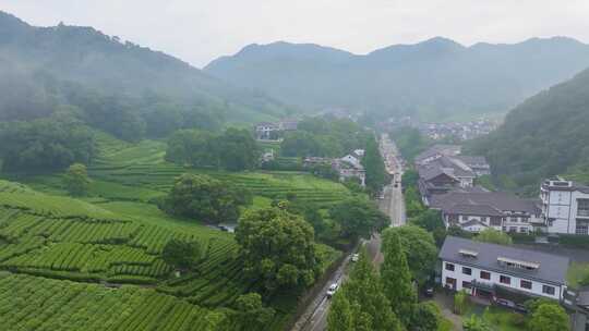 杭州梅家坞西湖龙井茶园云雾航拍