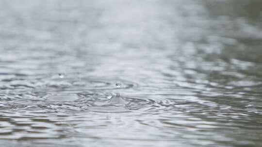 雨滴落在水坑上