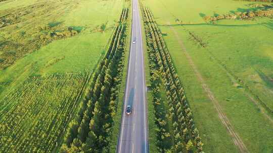 【航拍】草原天路  草原公路上行驶的汽车