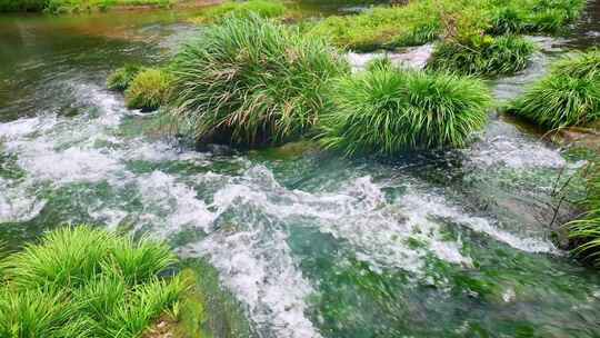 合集组镜大自然天然山泉泉水流水小溪溪流