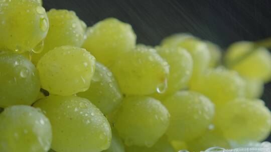 水淋在葡萄上特写水珠水果绿色无污染纯天然