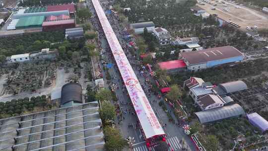 中国广东省佛山顺德区陈村花卉世界迎春花市