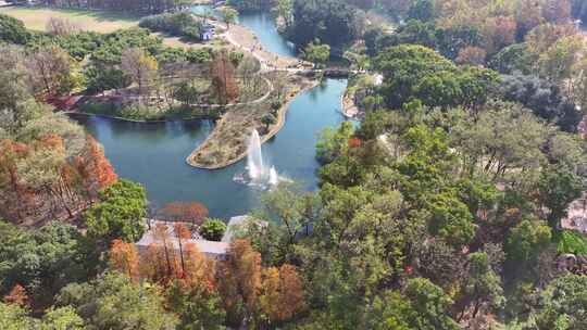 上海秋天风景 共青森林公园秋景