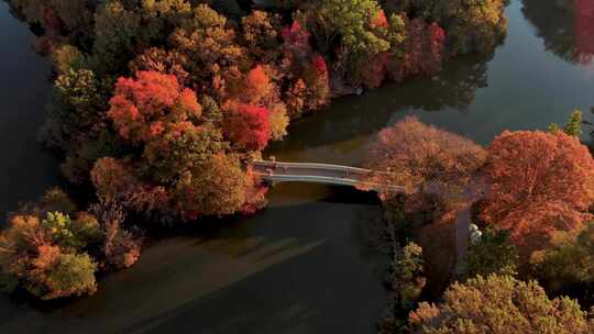 航拍公园跑步小桥河流树林纽约中央公园