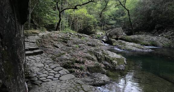 宁静山涧溪流 原生态景观 浙东小九寨