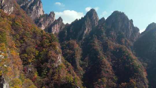 秋季森林自然风景实拍