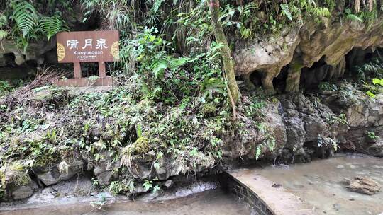 啸月泉自然景观岩石绿植环绕