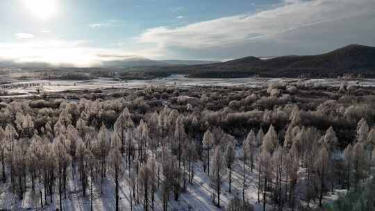 航拍大兴安岭雪原雾凇美景241102 (15)