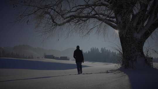 人，行走，雪，树