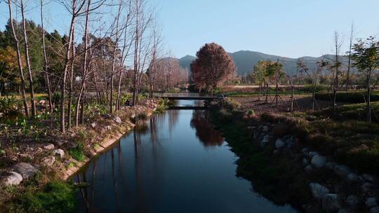 冬季小河边枯树清澈河水昆明入滇河道小桥